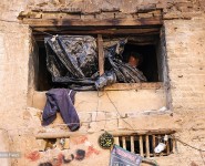تصاویر وصله ناجور شیراز