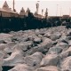 شمار جان‌باختگان مصری فاجعه منا به 165 نفر رسید -  73 نفر همچنان مفقود هستند