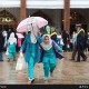 تصاویر جشن کبوترانه حرم