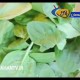  لازانیای سبزیجات مخصوص گیاه خواران 