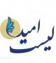 تکاپو اصلاح طلبان در راند دوم