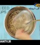  ترفندی جالب برای غذا دادن به پرندگان