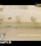 آموزش ساخت نردبان گیاه