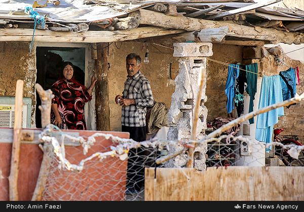 زاغهنشینی در شیراز