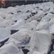 همه بیمارستان های عربستان را جستجو کردیم - آمار نهایی قربانیان ایرانی فاجعه منا 464 نفر است