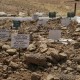 عفو بین‌الملل ارتش نیجریه را به کشتار شیعیان متهم کرد - صدها نفر در گورهای دسته‌جمعی دفن شده‌اند