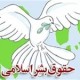 اسلام به حقوق بشر رویکردی مبتنی بر فطرت انسانی دارد
