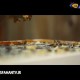  زنبورها چگونه زندگی می کنند؟