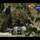 انونس فیلم سینمایی حکایت عاشقی 