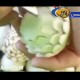 تزیین بسیار زیبای قارچ 