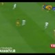 15 گل زیبا از فاصله دور