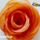 آموزش تزیین میوه ها به شکل گل رز