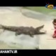 تمساح سر مربی خود را گاز گرفت!