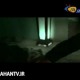  «مالیخولیا» به زودی روی پرده می‌رود