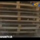 لحظه تصادف وحشتناک دو کامیون و یک اتومبیل سواری