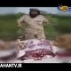 سعودی شکم چران: پس از زرافه، فیل می خورم!