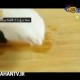 طرز تهیه رولت قارچ و مرغ