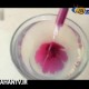اموزش ژله تزریقی