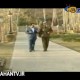 دستور بازداشت خبرنگار صداوسیما توسط محمدرضاشاه!
