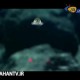 عروس دریایی کهکشانی در قعر اقیانوس آرام