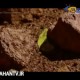 امکان حیات در مریخ با انفجار بمب هیدروژنی!