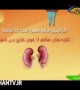 تاثیر مخرب داروها بر کلیه ها